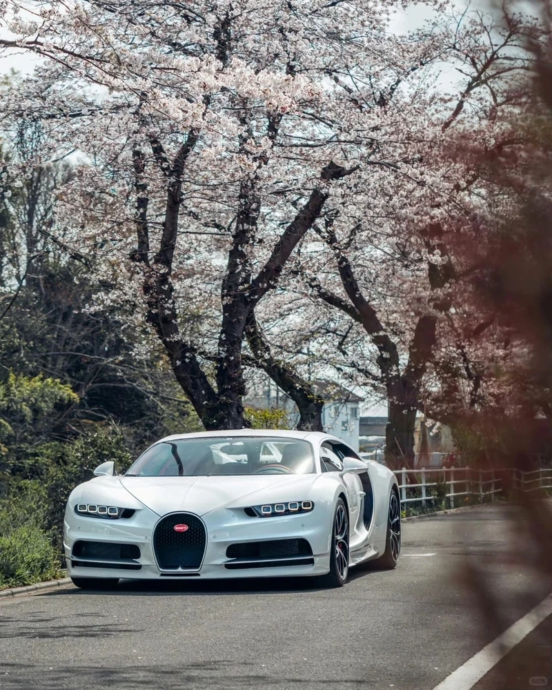 Phong cách sang trọng của Bugatti Chiron phong cách đẳng cấp