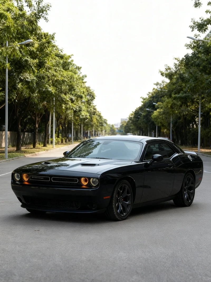 Độ đẹp ấn tượng cho xe Dodge Challenger độ đẹp