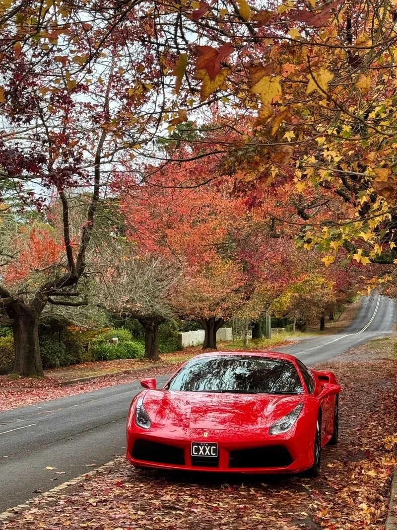 Siêu xe đường phố bứt phá ferrari 488 siêu xe đường phố