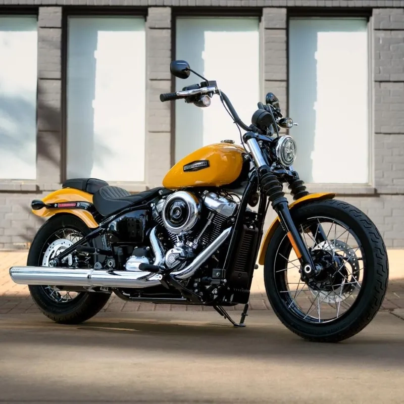 Các loại phụ kiện Harley Davidson