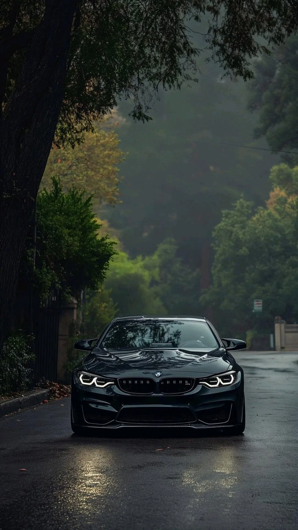 Ngắm nhìn hình nền bmw hd sống động mọi chi tiết